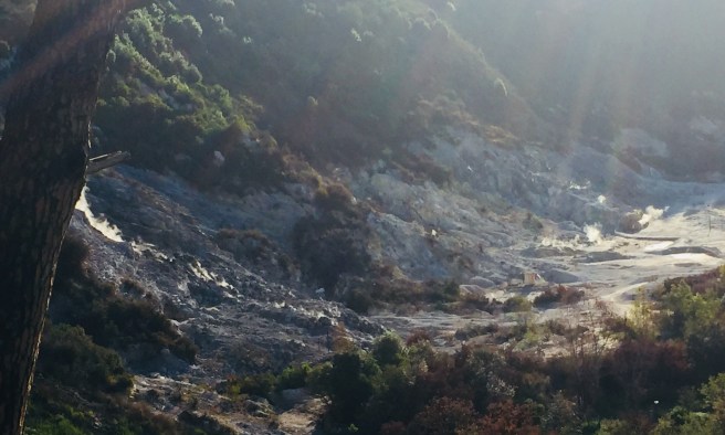 1CCA62F8-2F4F-44E6-915B-9102425136AE