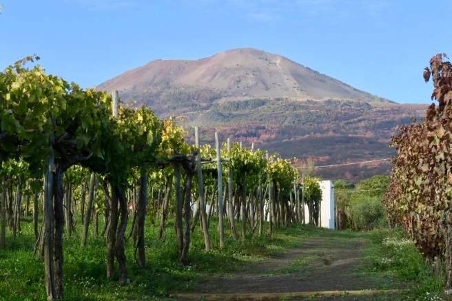 B20BE183-E53E-48B4-B24A-BABC5D954A40