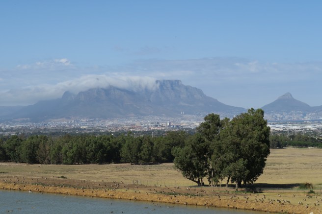 5E97083C-14A5-47F8-A46E-992F61585813