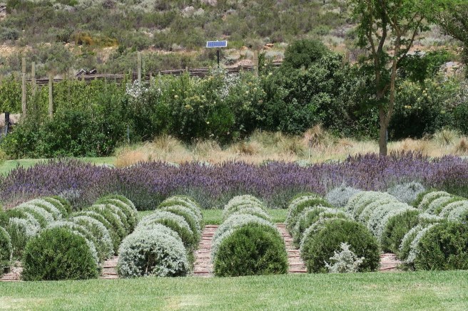 C923383C-9B30-444D-B072-834458B53F4E