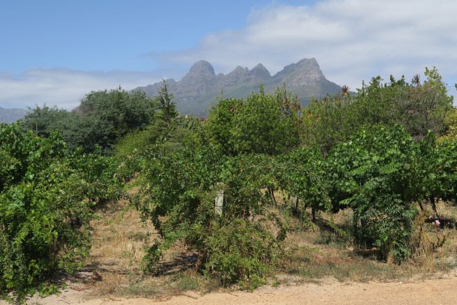 246D9092-EEB7-4983-9B79-4F2AC0F9036C