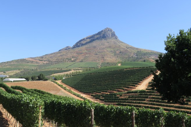 49552C6C-246E-4451-AC86-9201AE6F142C