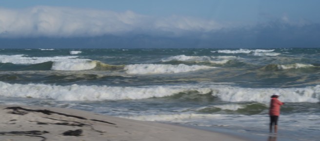 704C354E-4E54-444B-934C-3EA2F9177E4F