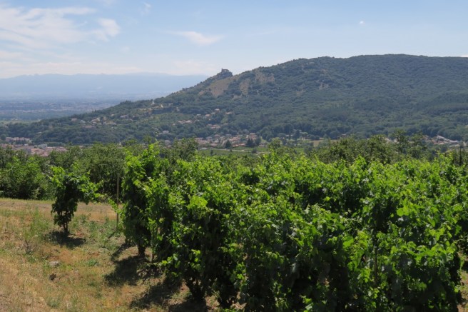 875683FF-E922-4CC2-9165-BABF33527564