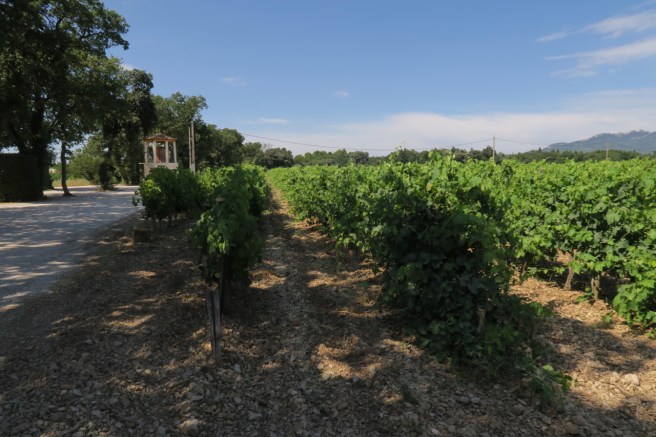 89A45C71-66F4-4723-9A7C-B6456F801A45