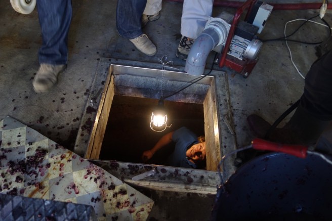 D0E8A5F3-E017-412F-9C90-C4A55EE16998