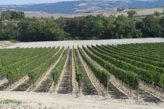 69D8E749-83AD-4EBA-95DC-CB605063821C