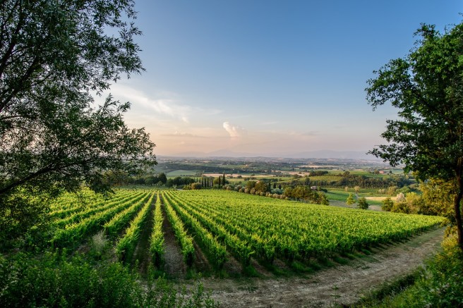 709587AB-8862-4162-8214-73E437A84FAF