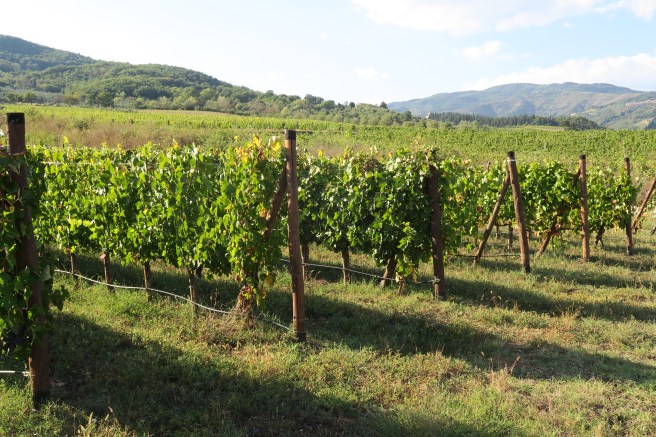 C292B28D-1A97-4016-A530-17889E0B098C