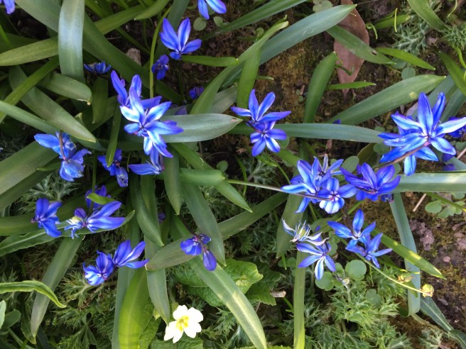 84D37CFF-BBC7-4A6E-9D2A-071604122F59