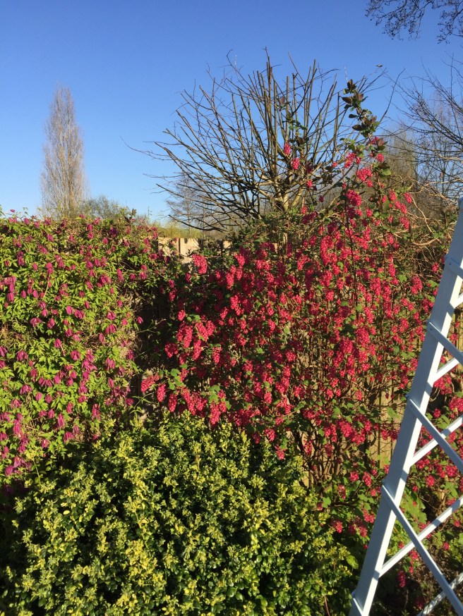 DCED5D9A-8A93-42FD-B417-2CCF71244F32