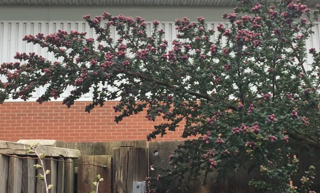 E93FEC30-F586-4F6F-840B-427CBB47D830