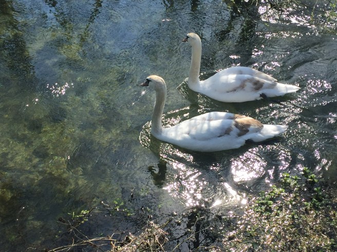 F6F9306D-3A68-431B-98F7-8279CCD58BB6