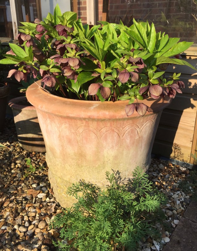 03EB47D9-5734-4C36-93EF-1800E106423E