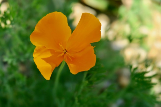 10C3D852-E101-4879-A483-90CDF1CE95DB