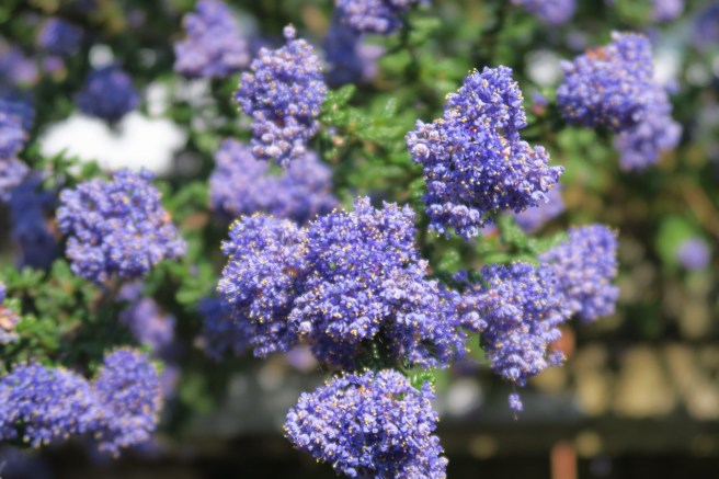 15B3FD22-2CD2-4955-9074-EE4E77813BAC