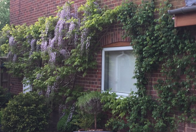 1FAD2C8E-4E89-4C46-A328-D901FE250AD5