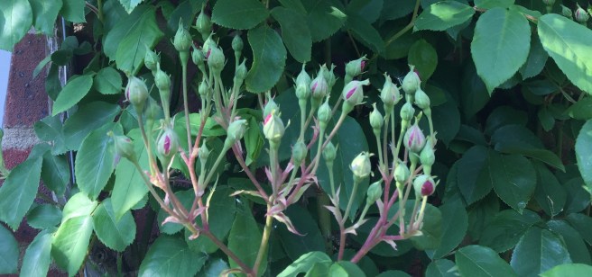 33F6873B-86D6-4CD4-8EEB-538660FE1F19