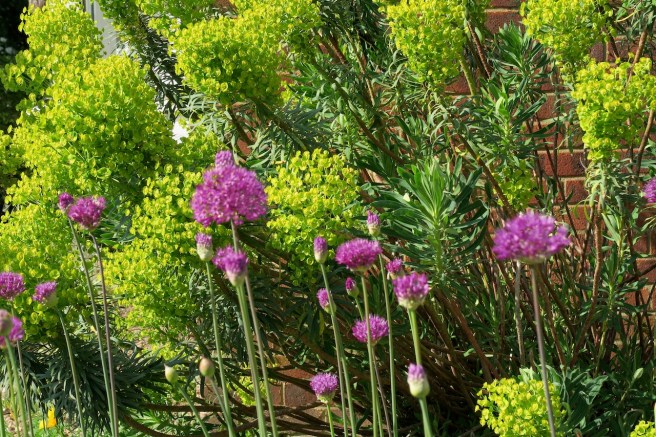 4A8C95C1-FC72-4BEF-A397-E427145A3BC8