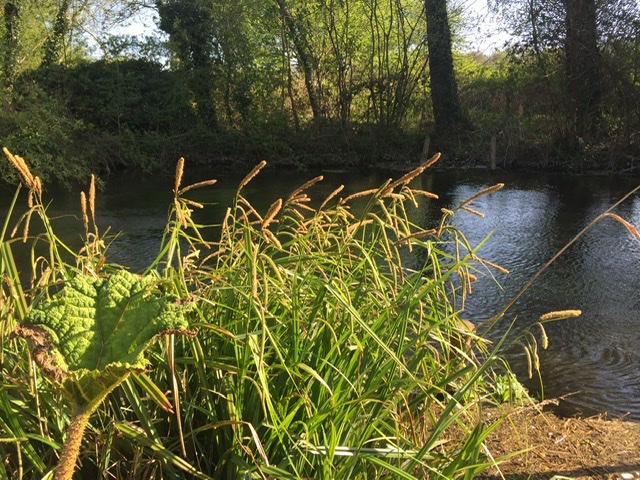 6FFEA07F-C9A7-40BC-8A01-6D44E4FA4C1B