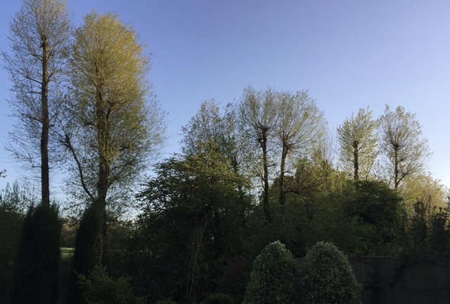 AE0C00E7-475A-4BD1-8461-88606FE72C25