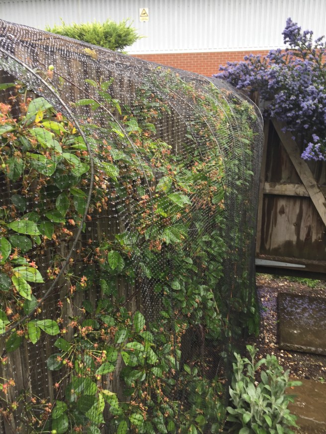 C59B78A1-9E84-4918-86F0-929F52B17223