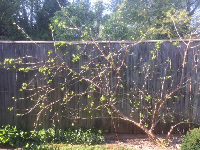 CF8621D2-D496-4917-89F1-EEF41992E267