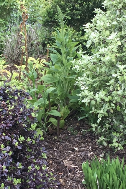 DC3A5AA0-9D29-447F-9AAA-D6AEF67F564B