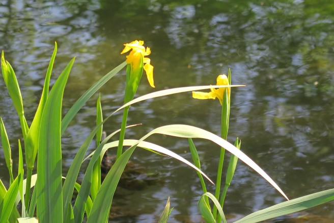 DF16C76D-706D-4873-8163-8A4EF8CD925F