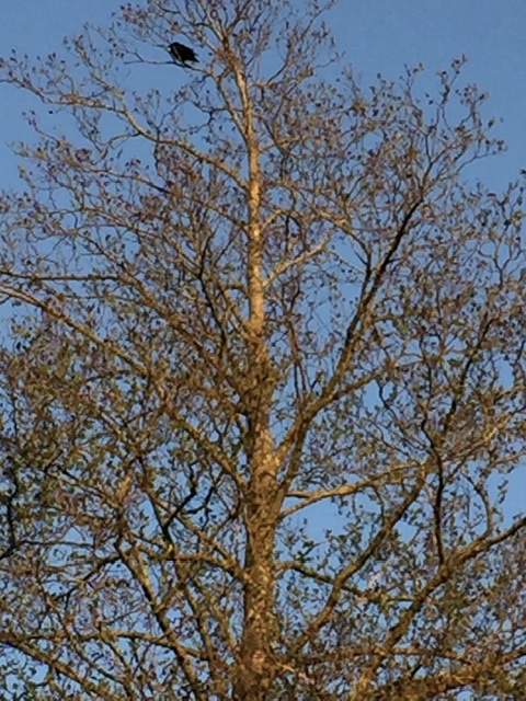 EB707AD9-29A2-4B41-84C0-8ECED0872619