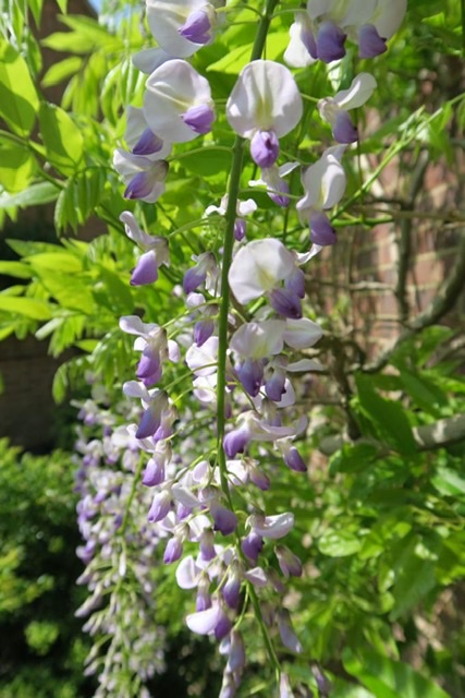 F146DF54-61BD-4108-A4E1-076B59AFDCFD