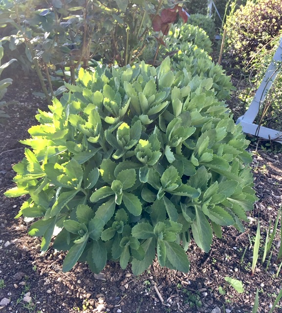 0CD2E40A-E05D-4B7A-906F-3525C5078682