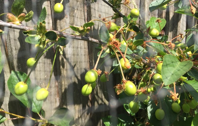 137B2AC7-E9BA-4430-872F-EA1267E92309