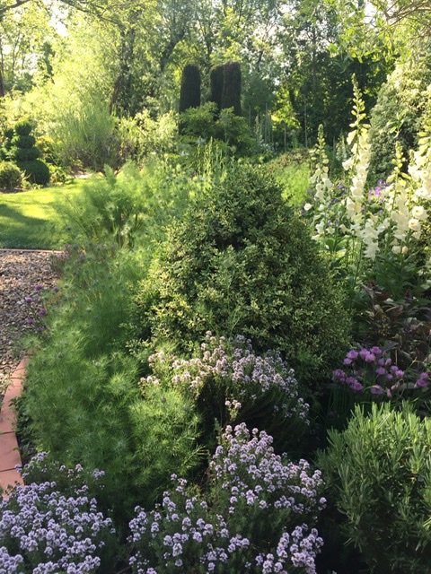 196F68E7-3EFF-475E-B483-68FD40B01506