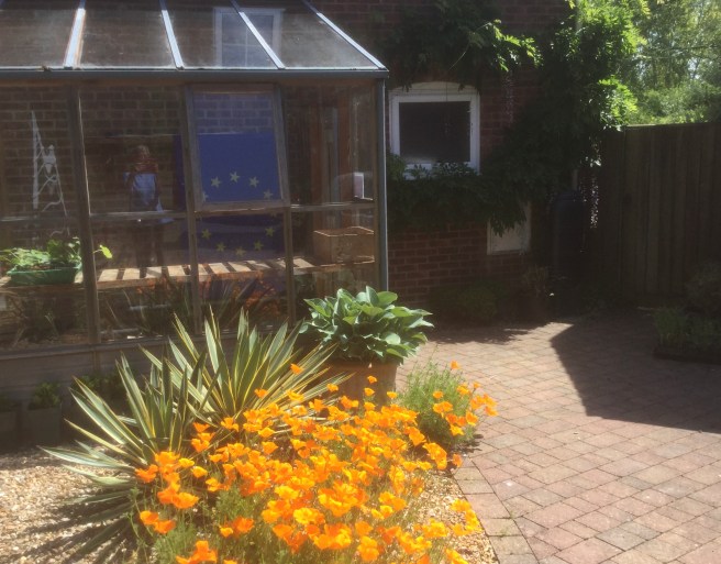 20370961-DF5C-4BE9-950C-69CC7FDE7B1D