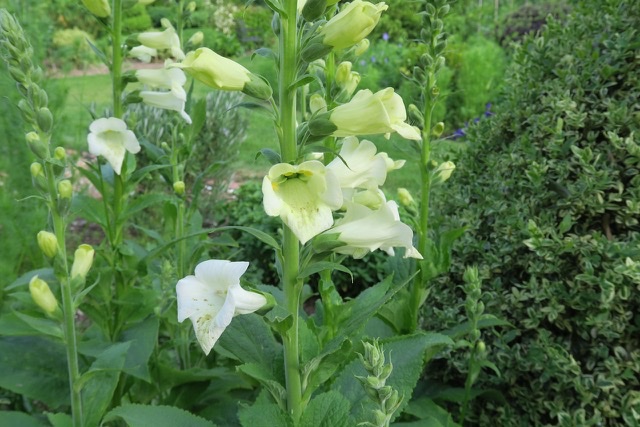 278761D8-FA62-47AD-AD96-5EECE3E2BF3C