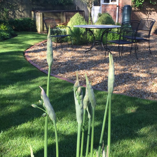 3428E5DD-8B42-4B7D-8F64-5E3CC832BA23