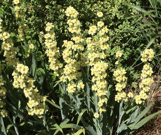 4A9C7602-4BE5-4F59-9A93-A77C976EDED3