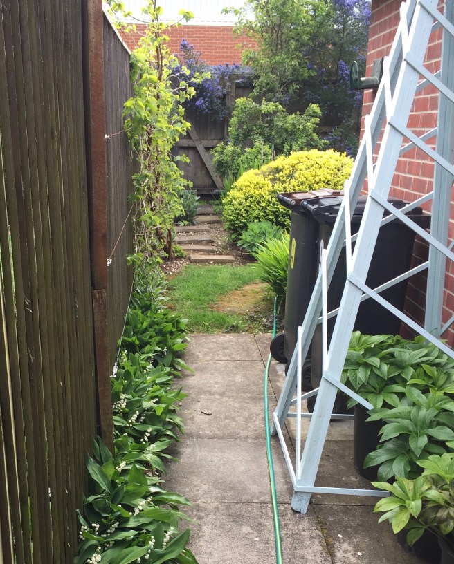 5450C539-E016-4717-A180-FAFD387A8471