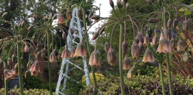 54CDED00-57E7-450A-811E-DFBBA1E1E3F9