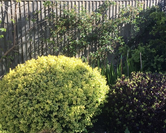 58EE2723-11B8-4B0D-BFD6-5F6754D0CFE7