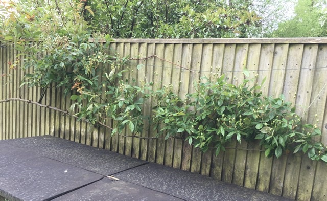 59836B73-7C5D-4751-B6A3-6A1A56D664CD