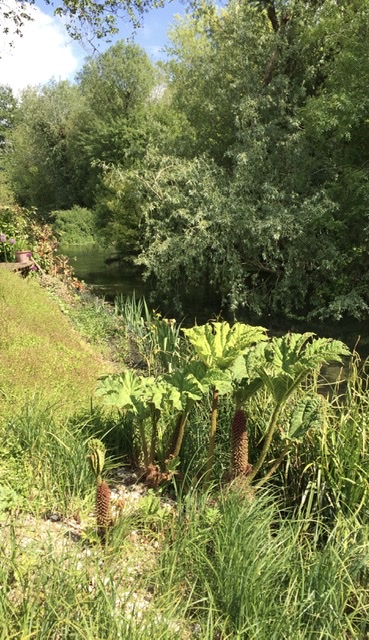 5AC05EC8-524D-4860-BB6D-51EB858E78C1