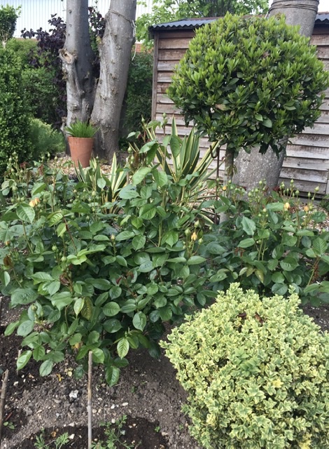 64866E16-3360-4513-BBC1-1A24EA542FE3