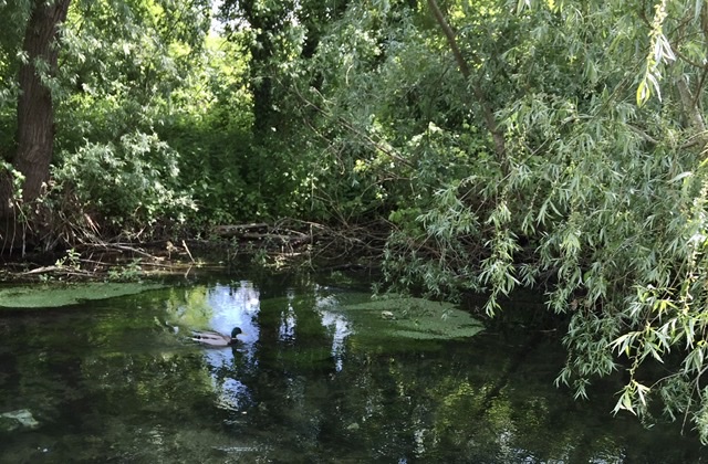 6B868069-9B0C-48B9-AD1F-7BDAAE477803