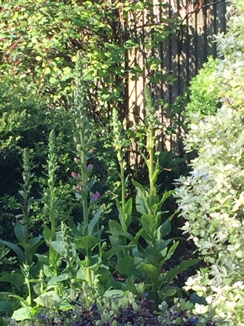 7D4516B4-03FC-4A14-A121-383F13EE53FD