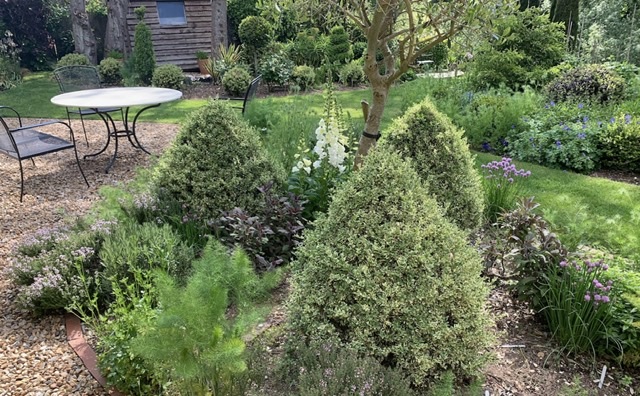 886822AF-B354-4DB0-BCD9-231CC8515859