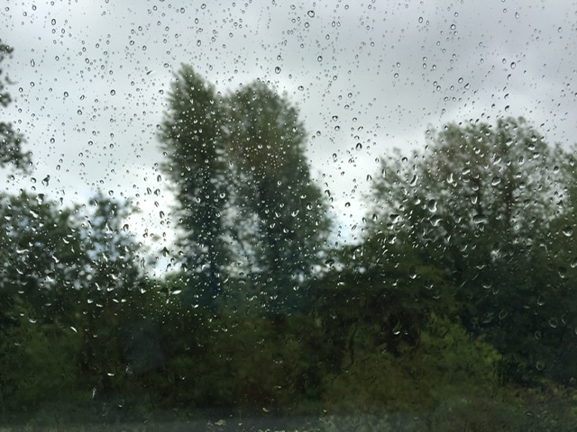 8CEB7BDC-08F9-47FF-A9AB-10D3A6324CAF