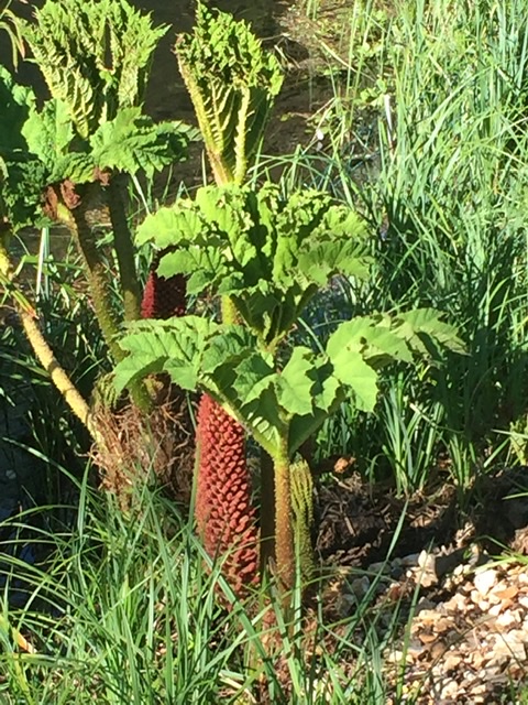 8EA67B02-F208-4F54-A738-1BE812CEC7A9