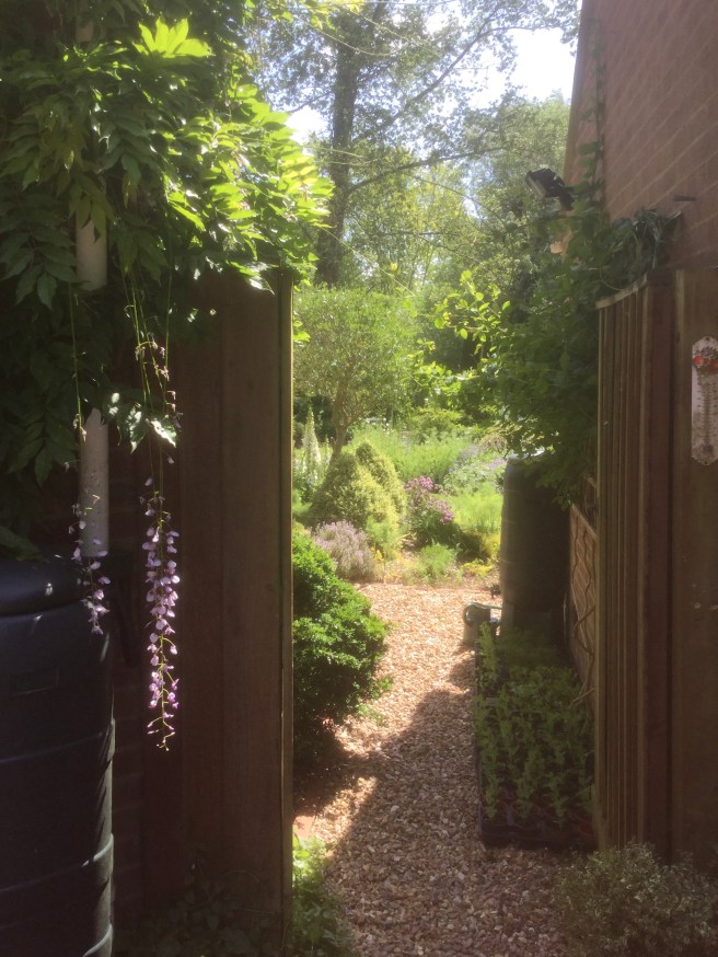 939A7720-7E96-40A2-9D65-EB2690B95372